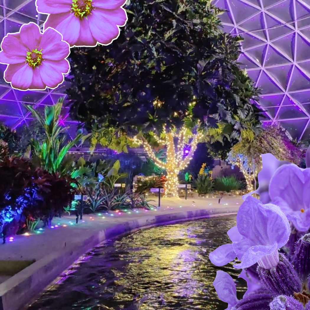 Why Living with the Land is a truly iconic Walt Disey World Experience