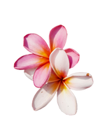 Frangipani Monoi De Tahiti