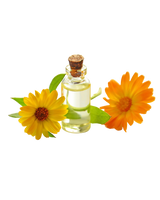 Calendula Oil
