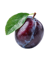 Sweet Plum Oil